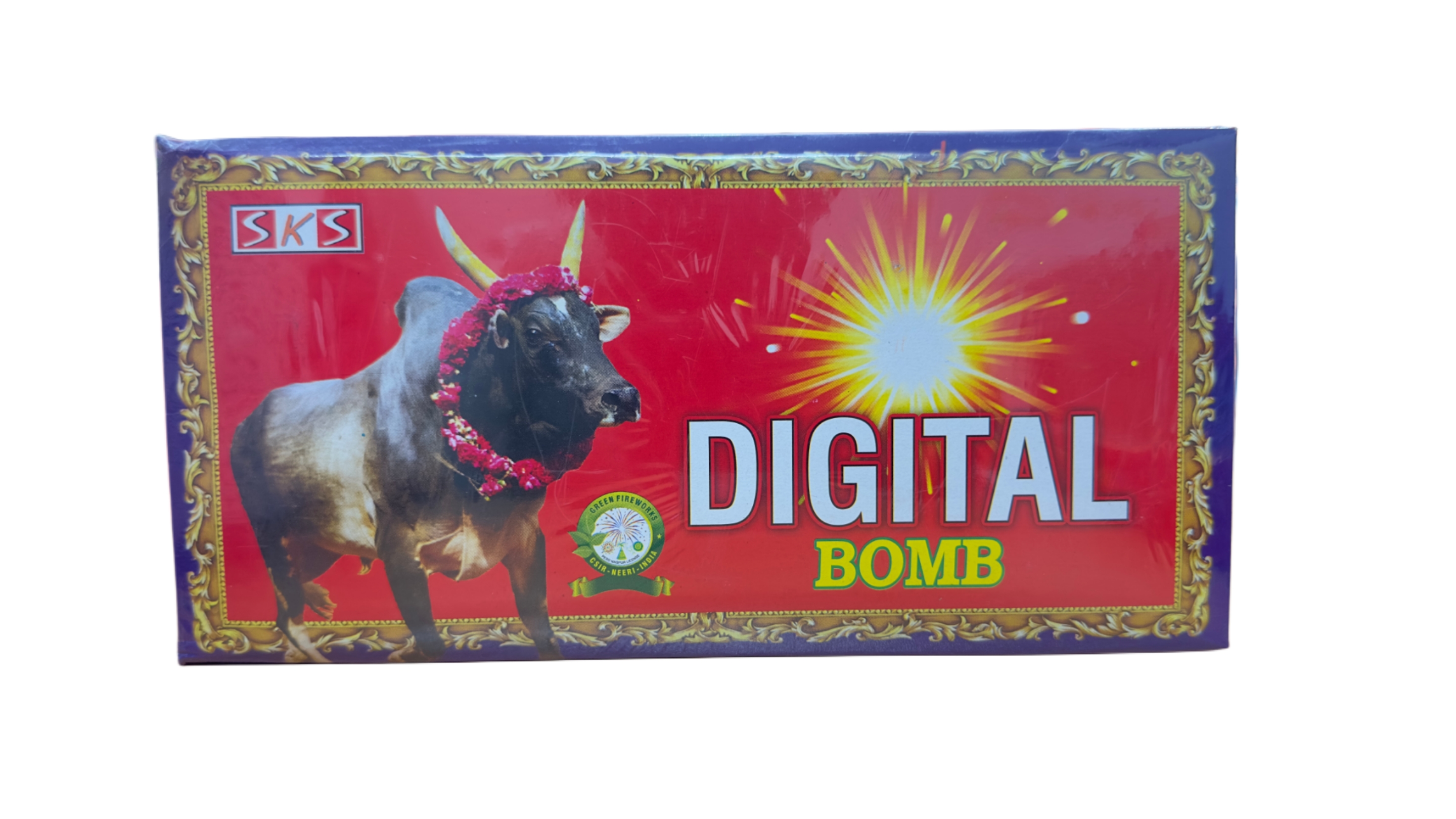 DIGITAL BOMB